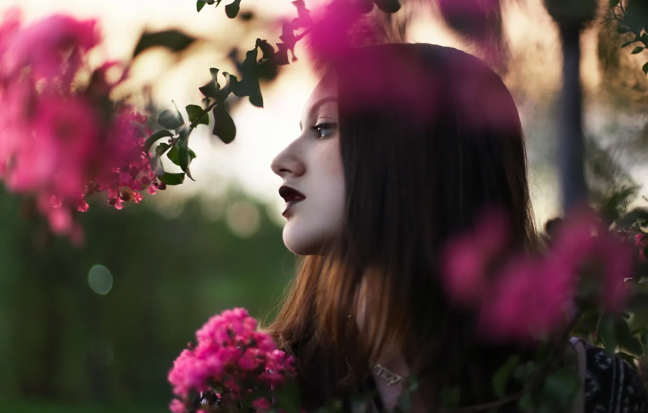 Photo wallpaper look, girl, portrait