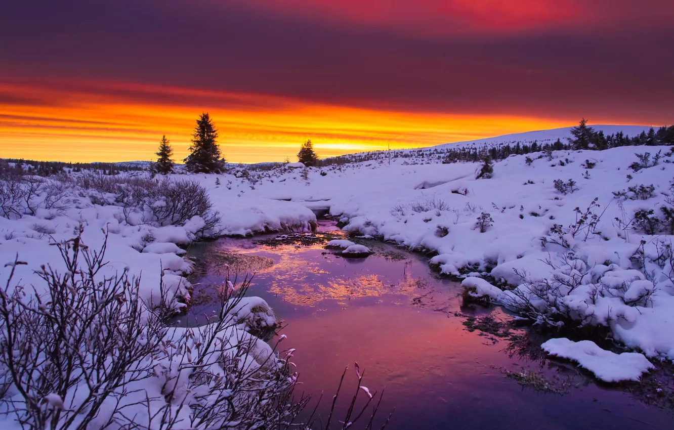 Photo wallpaper winter, water, clouds, snow, trees, sunset, river, Nature