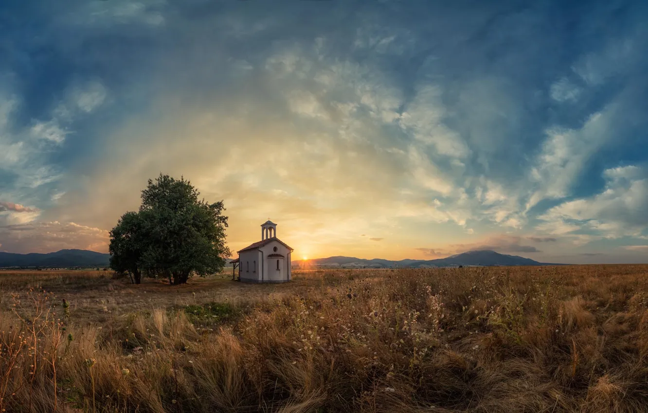 Photo wallpaper field, the sky, clouds, trees, sunset, mountains, Bulgaria, Sofia