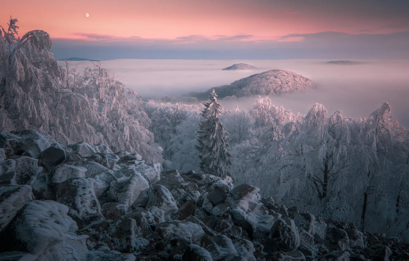 Photo wallpaper winter, frost, clouds, snow, trees, landscape, sunset, mountains