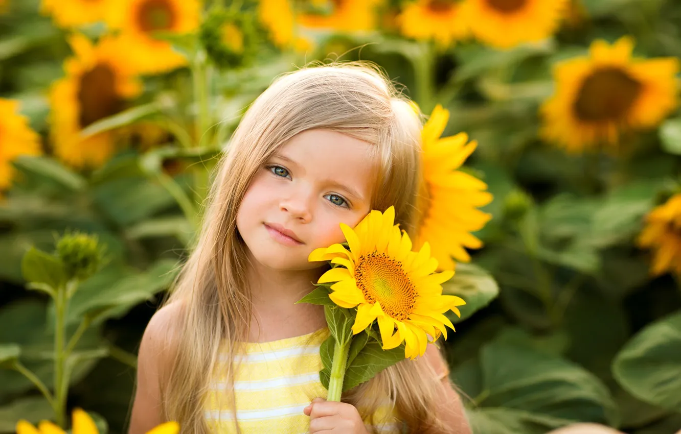 Photo wallpaper look, face, mood, sunflower, girl