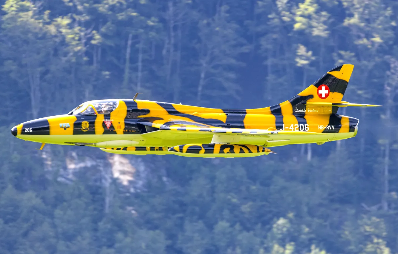 Photo wallpaper hunter, Hawker, T.68