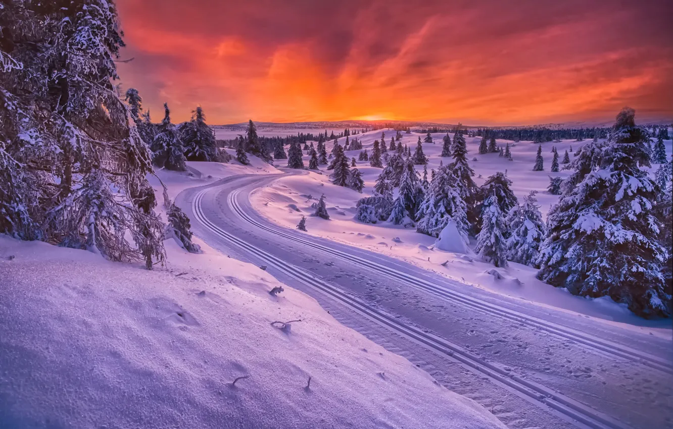 Photo wallpaper winter, road, Norway, sledding