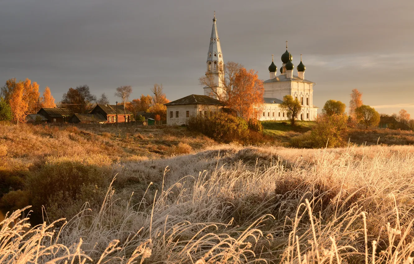 Photo wallpaper frost, field, autumn, grass, light, trees, landscape, village