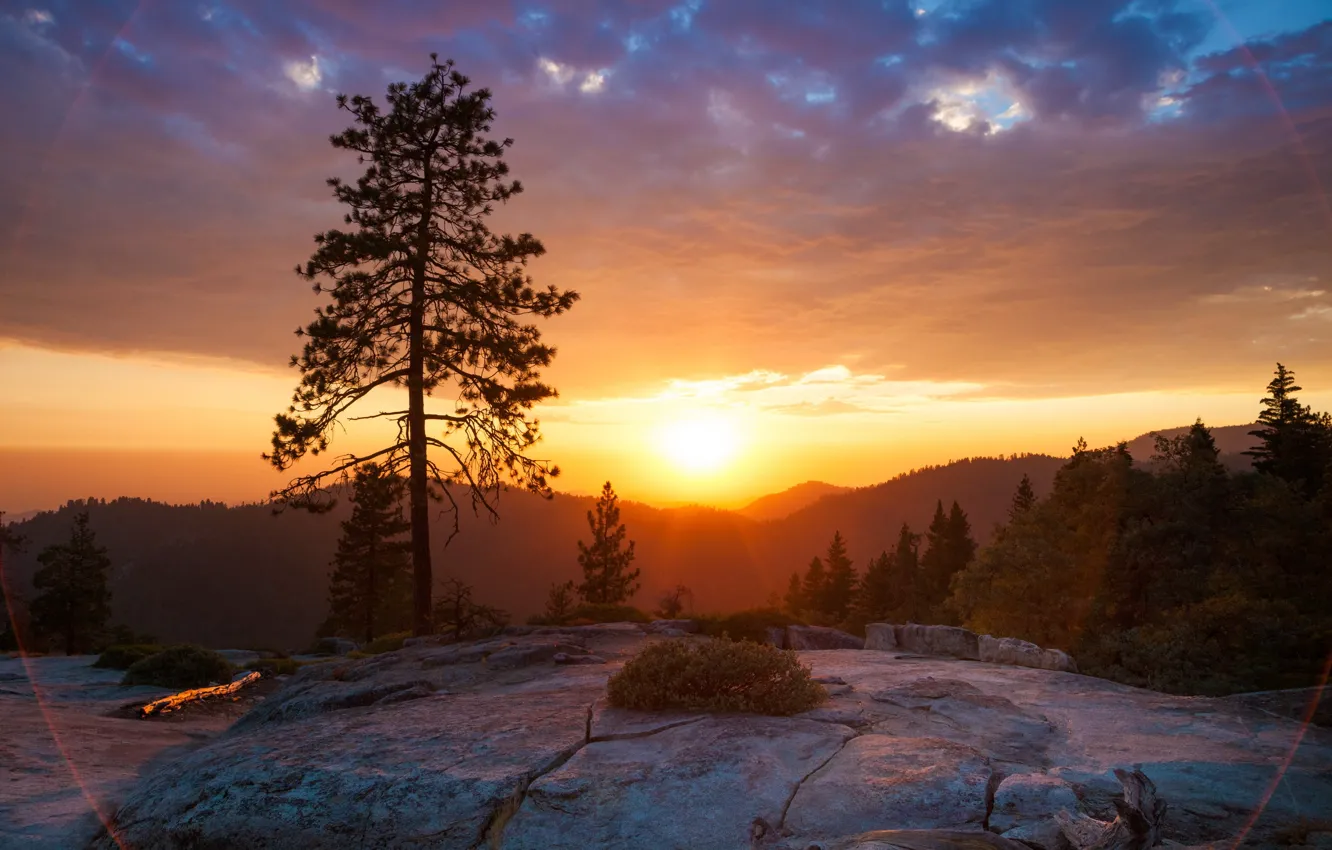 Photo wallpaper sunset, nature, Park, photo, dawn, CA, USA, Sequoia