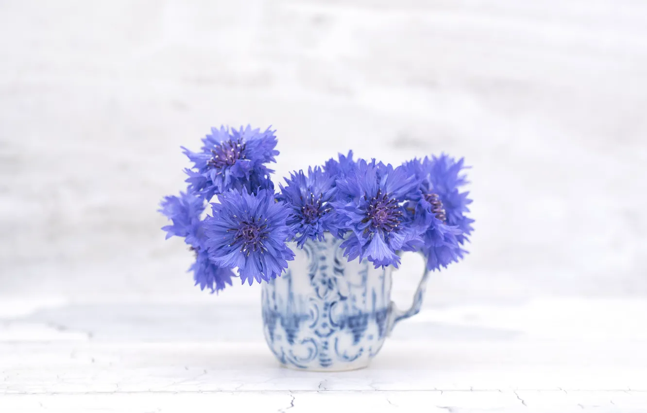 Photo wallpaper flowers, blue, flowering, cornflower