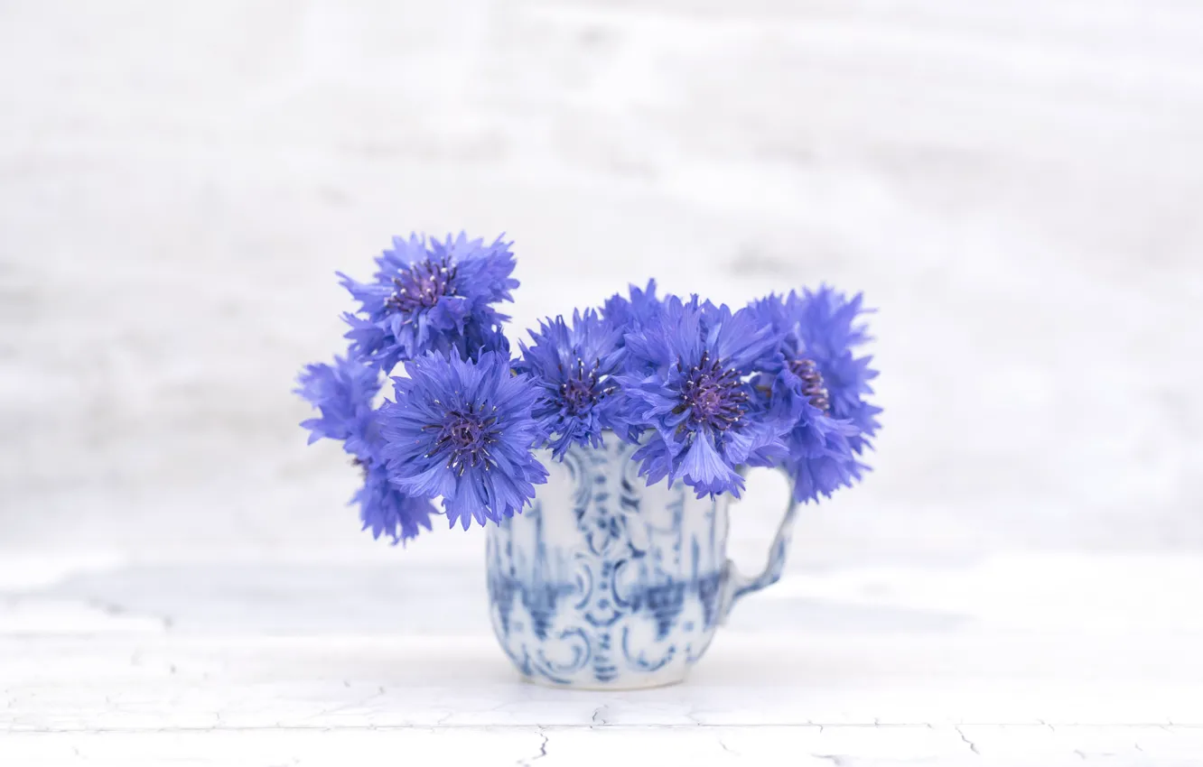 Photo wallpaper flowers, blue, flowering, cornflowers