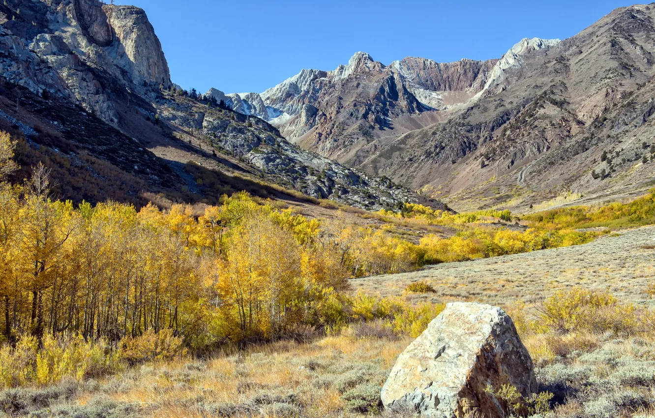 Photo wallpaper landscape, mountains, nature