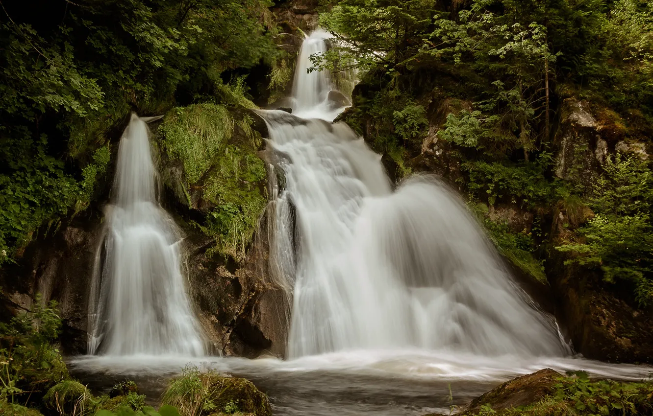 Photo wallpaper water, trees, waterfall, stream