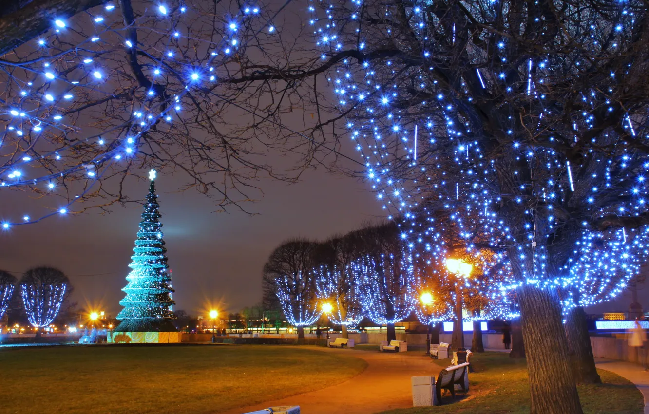 Photo wallpaper winter, lights, Park, tree, lights, garland, square, night