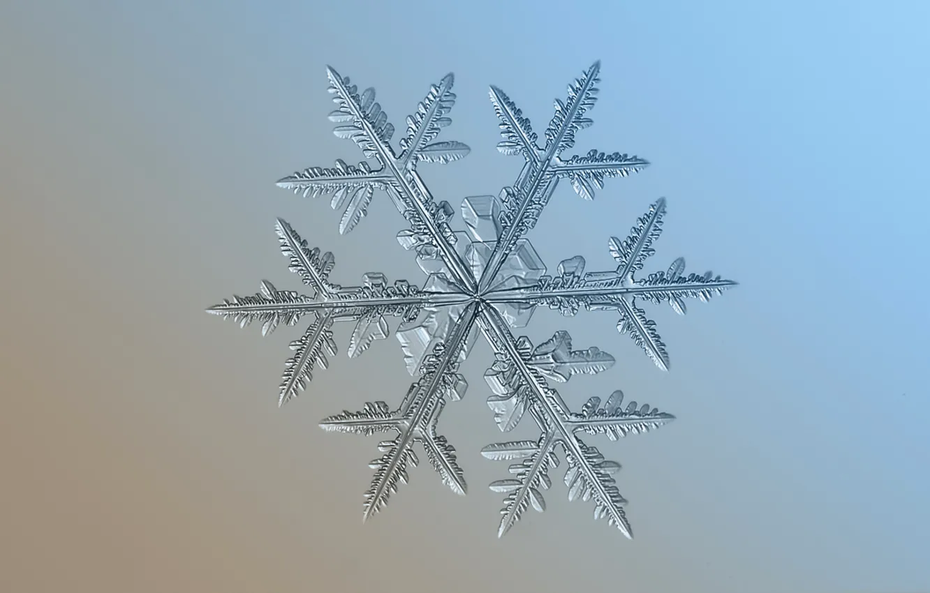 Photo wallpaper ice, winter, snowflakes, pattern, symmetry
