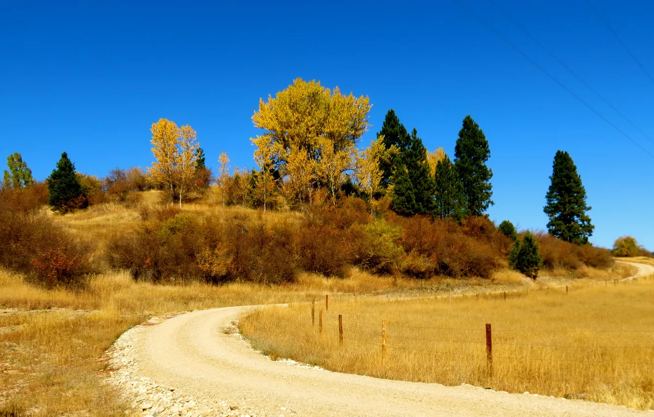 Photo wallpaper road, autumn, the sky, trees, hills