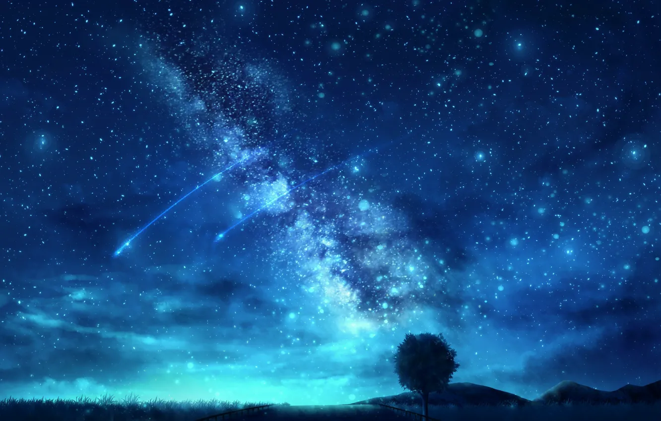 Wallpaper the sky, night, nature, tree, the milky way, shooting star ...