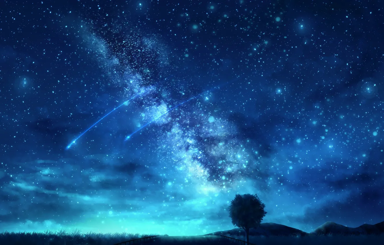 Photo wallpaper the sky, night, nature, tree, the milky way, shooting star, OR