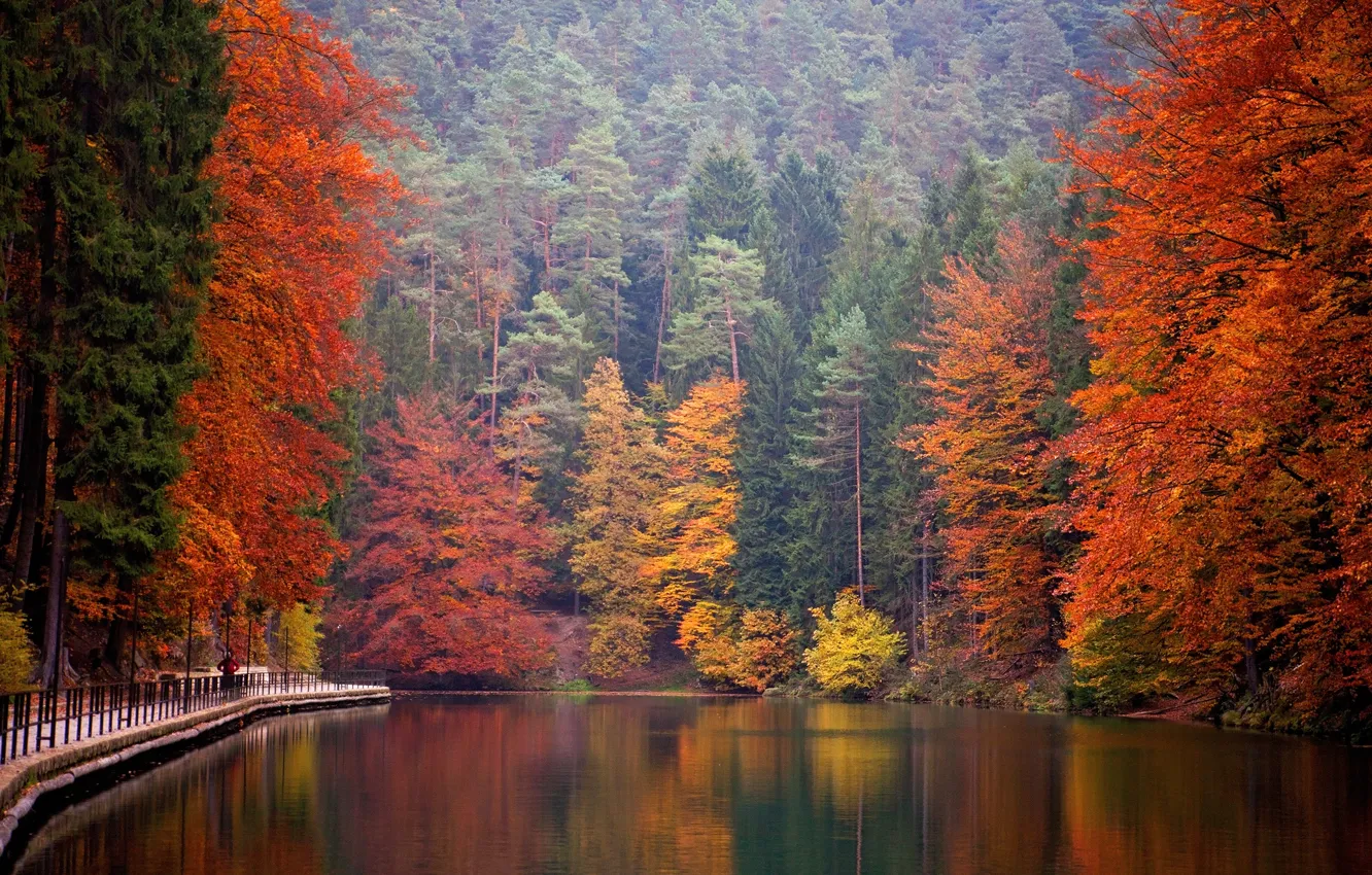 Photo wallpaper autumn, forest, trees, mountains, lake, Park, Germany, Saxon Switzerland National Park