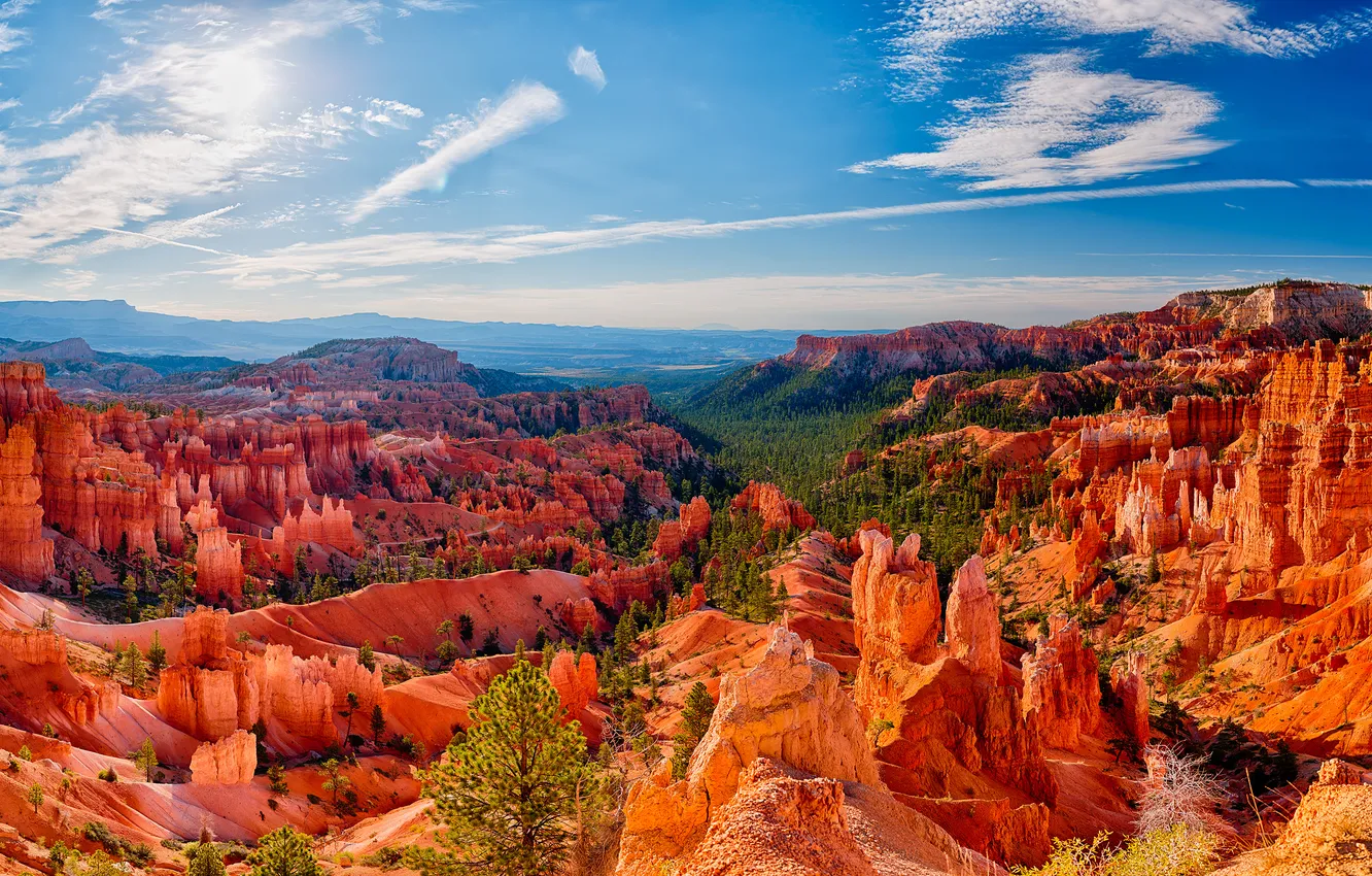 Photo wallpaper forest, the sky, clouds, mountains, blue, rocks, view, height