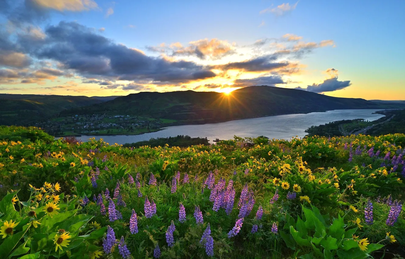 Photo wallpaper the sky, the sun, clouds, sunset, flowers, mountains, river, blue