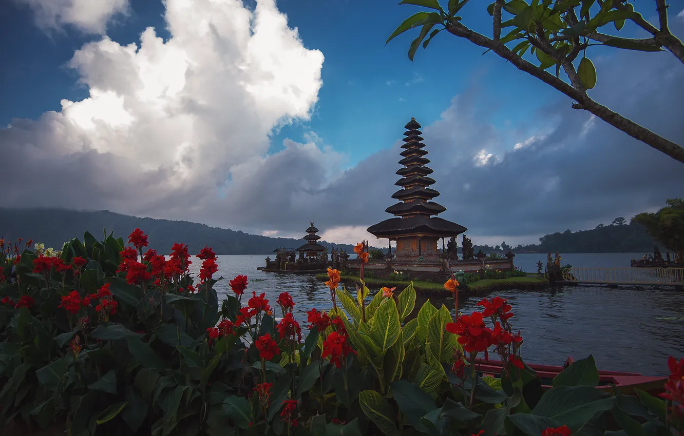 Photo wallpaper clouds, landscape, flowers, branches, lake, hills, shore, Bali