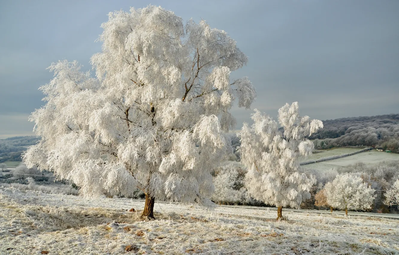 Photo wallpaper winter, frost, field, the sky, clouds, snow, nature, horizon