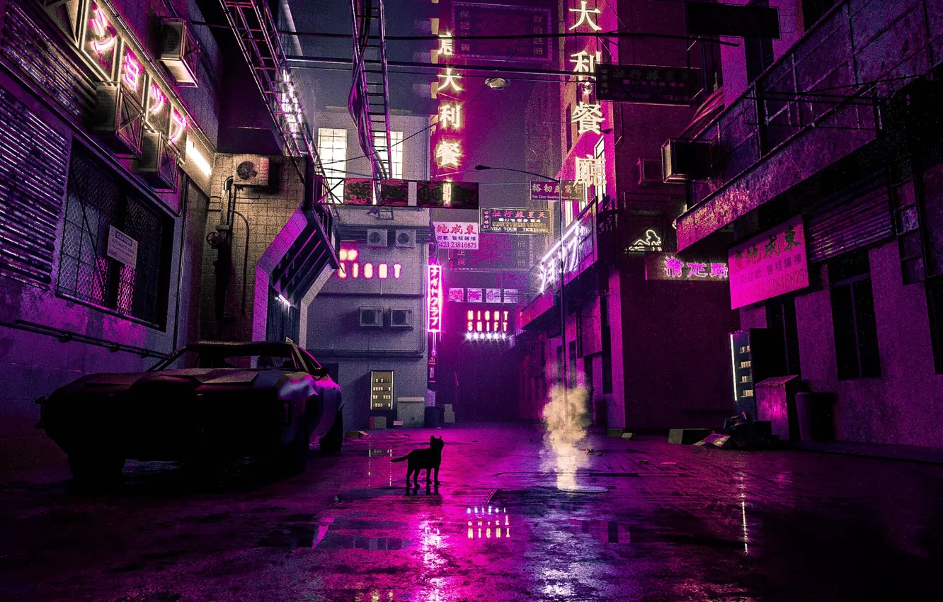 Photo wallpaper Auto, Night, The city, Cat, Machine, Style, 80s, Style