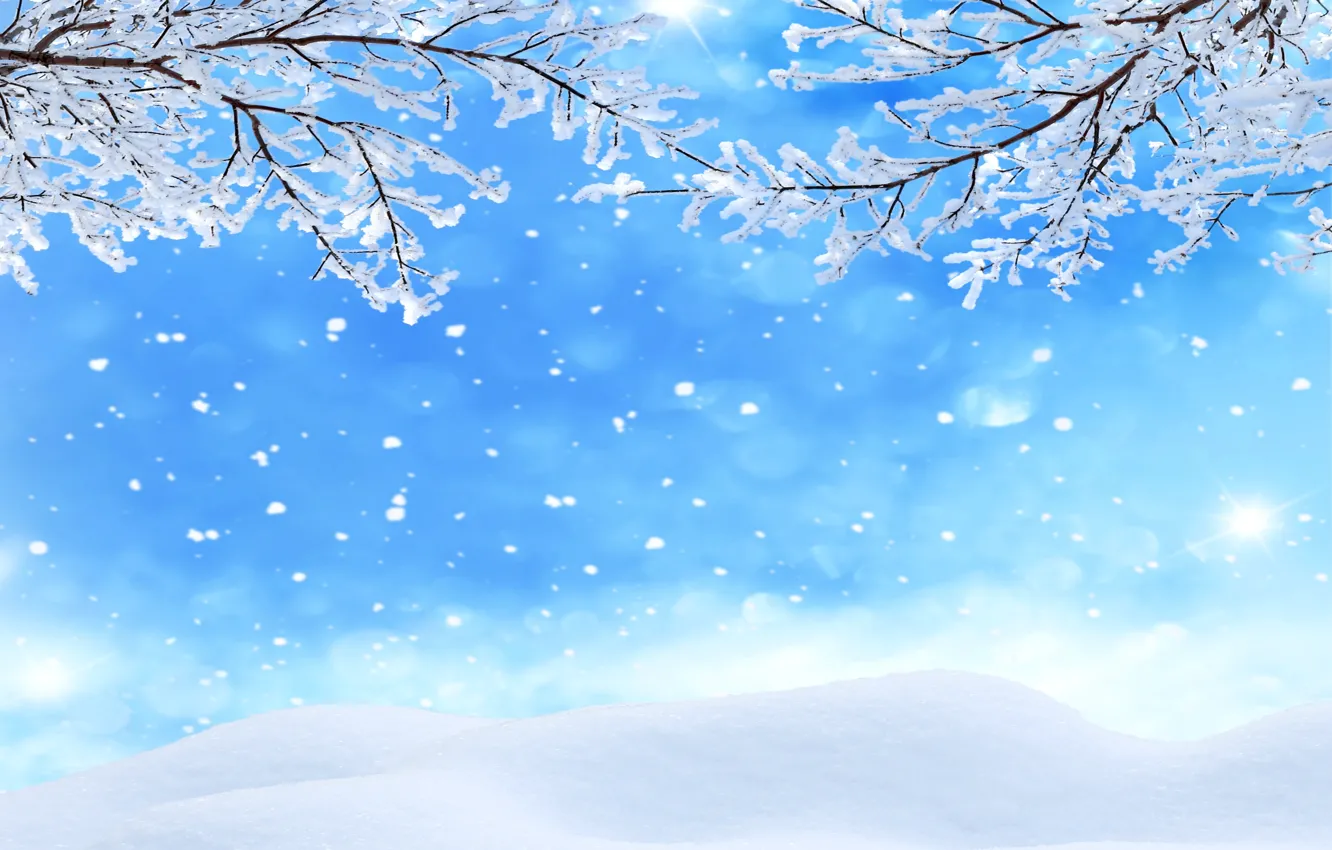 Photo wallpaper winter, forest, snow, trees, snowflakes, nature, winter, snow