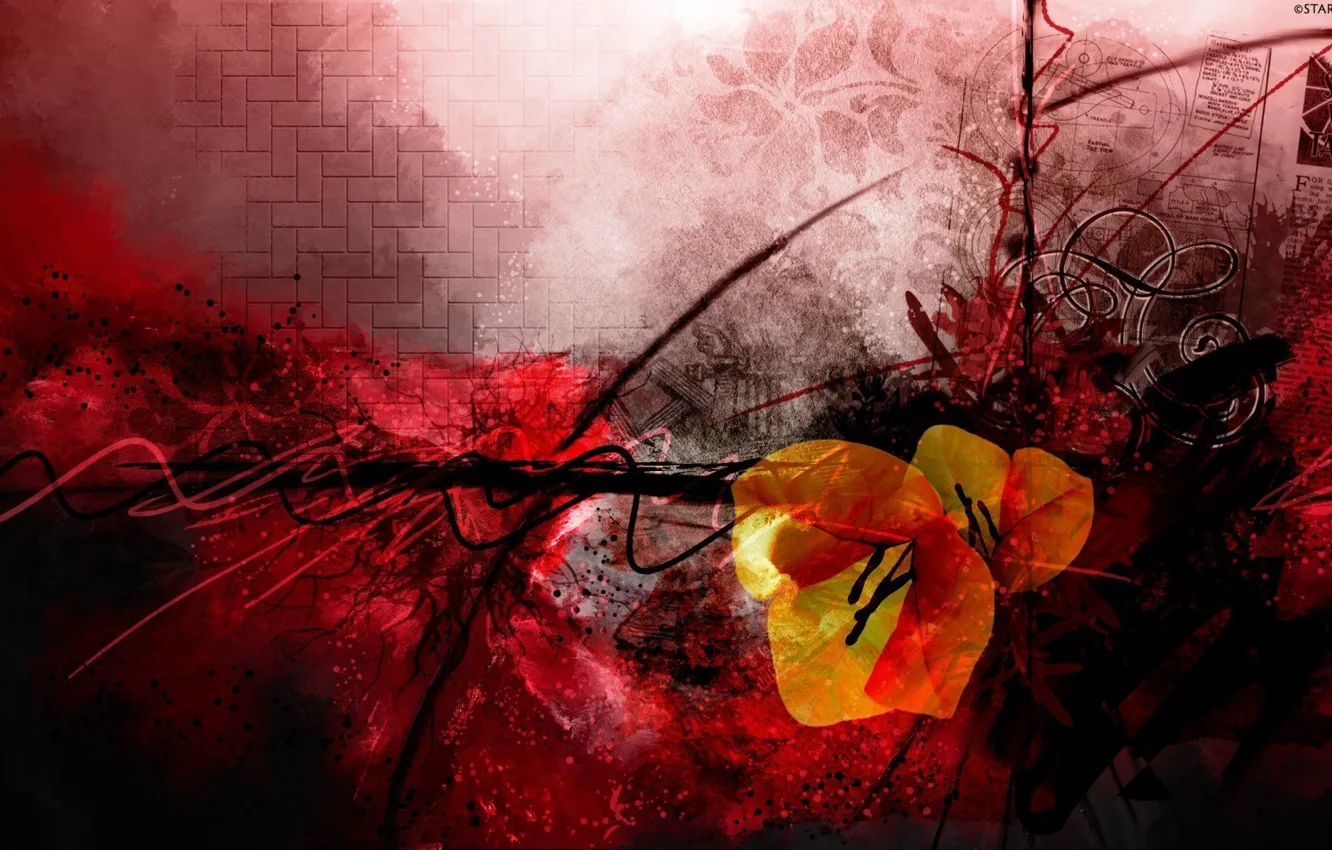 Photo wallpaper flowers, abstraction, Wallpaper