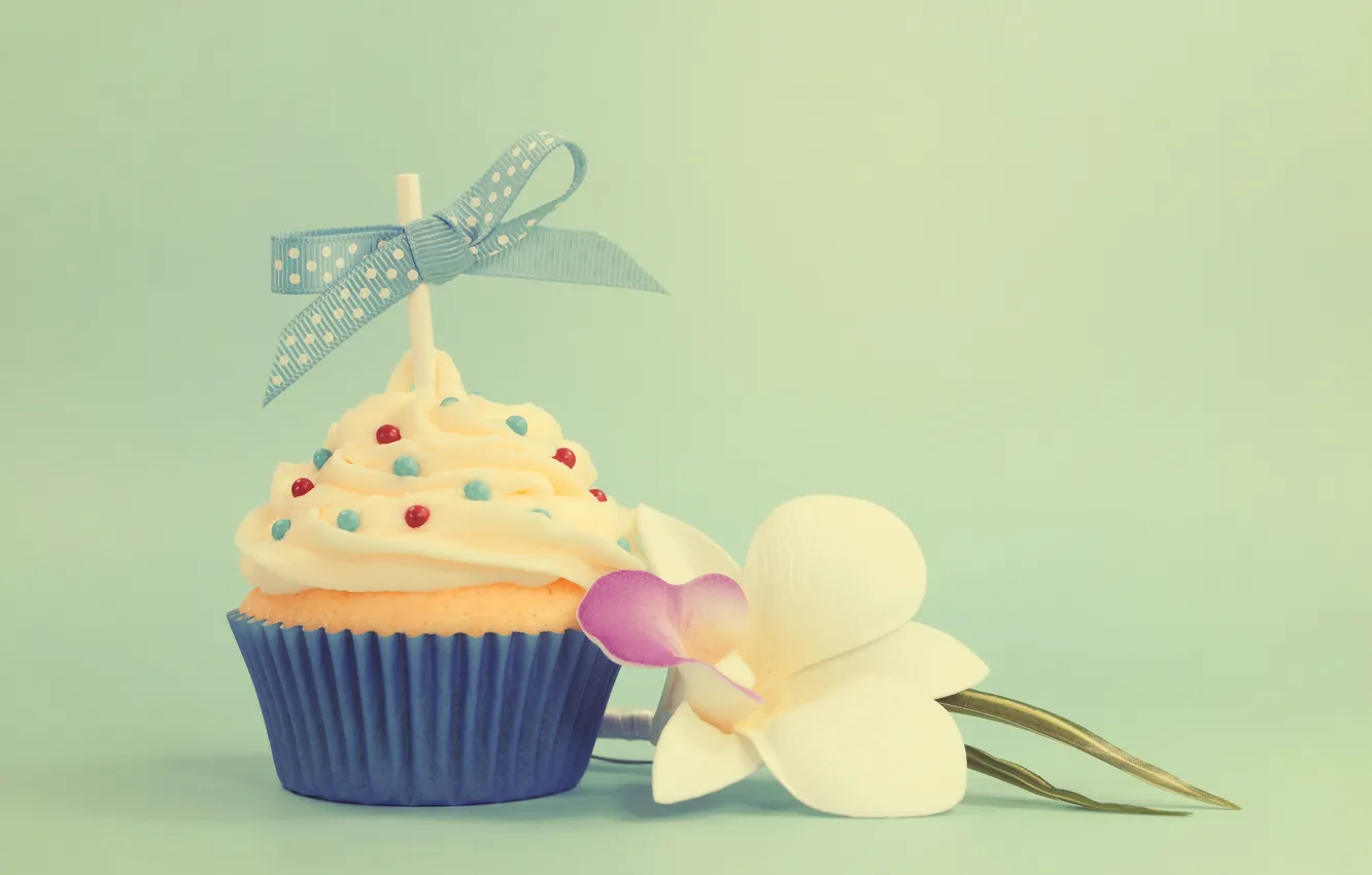 Photo wallpaper flowers, bow, cream, Orchid, cupcakes, powder
