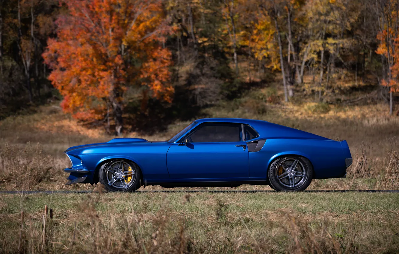Photo wallpaper Mustang, Ford, 1969, Ford Mustang, Blue, Side, Road, Forest