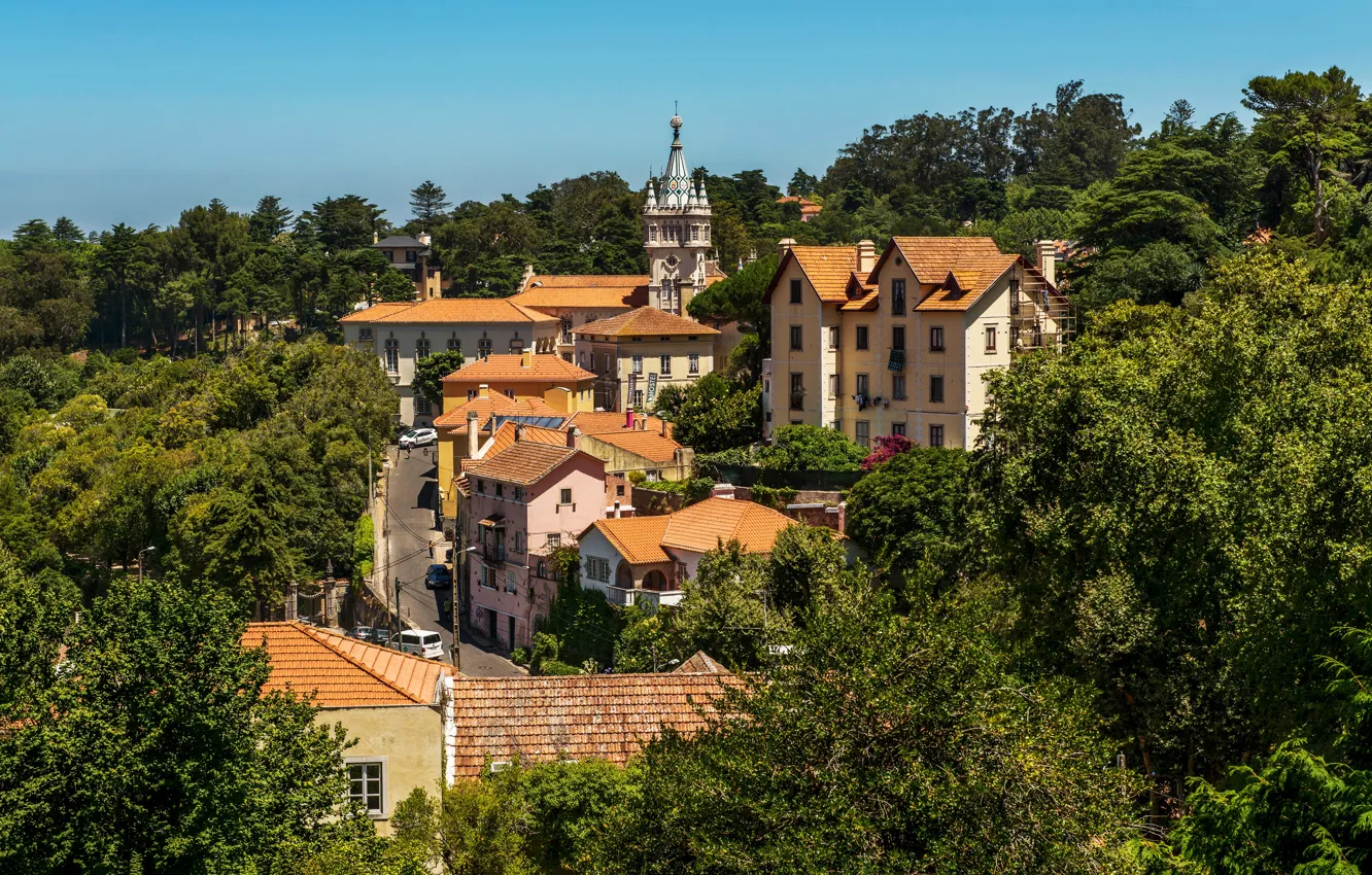 Photo wallpaper greens, the sun, trees, home, Portugal, Lisbon, Sintra