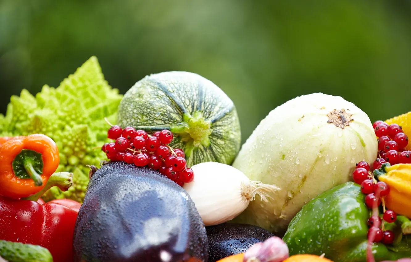 Photo wallpaper eggplant, fruit, vegetables, currants, zucchini