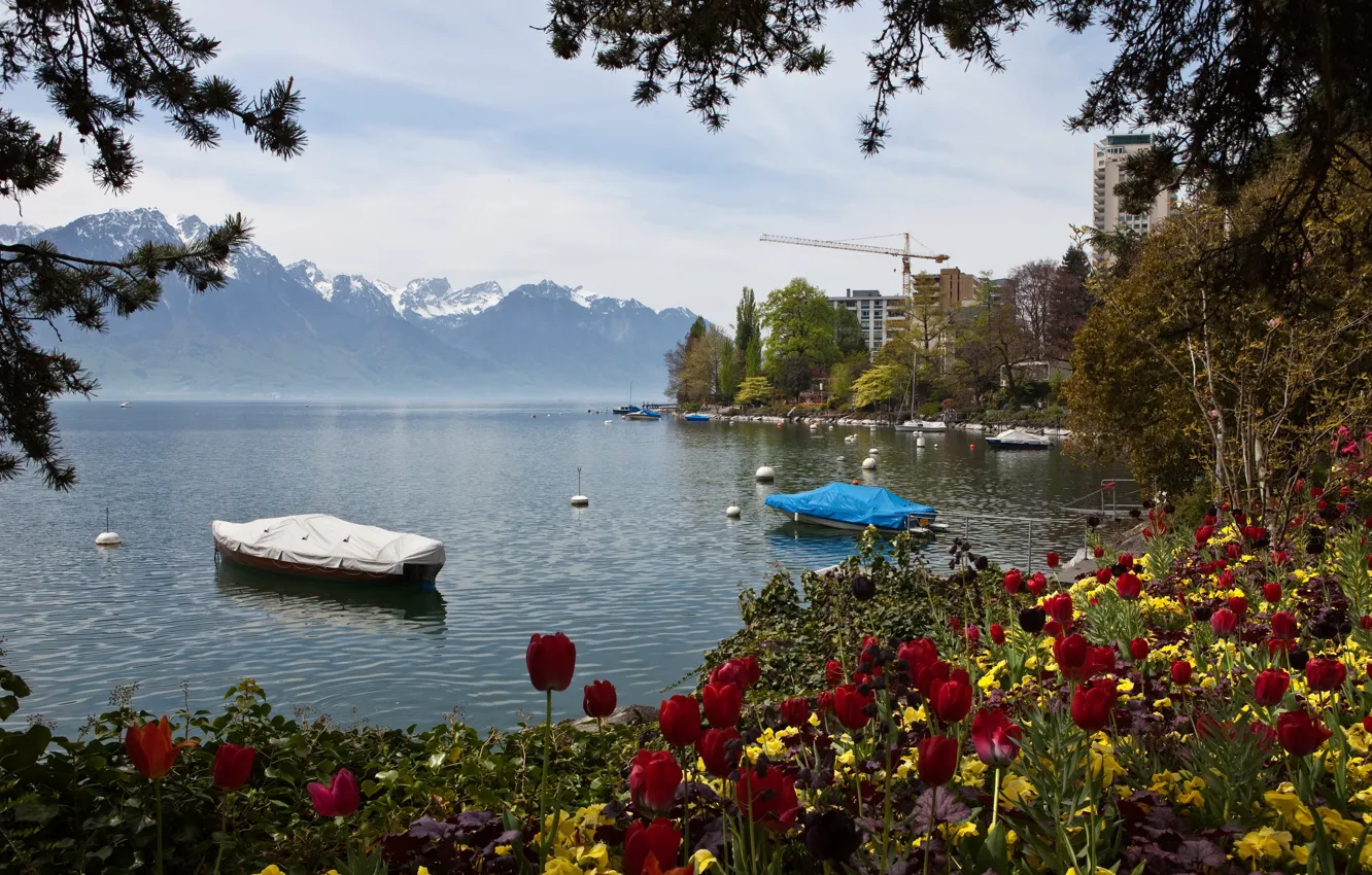 Photo wallpaper mountains, nature, lake, photo, Switzerland, tulips, Montreux