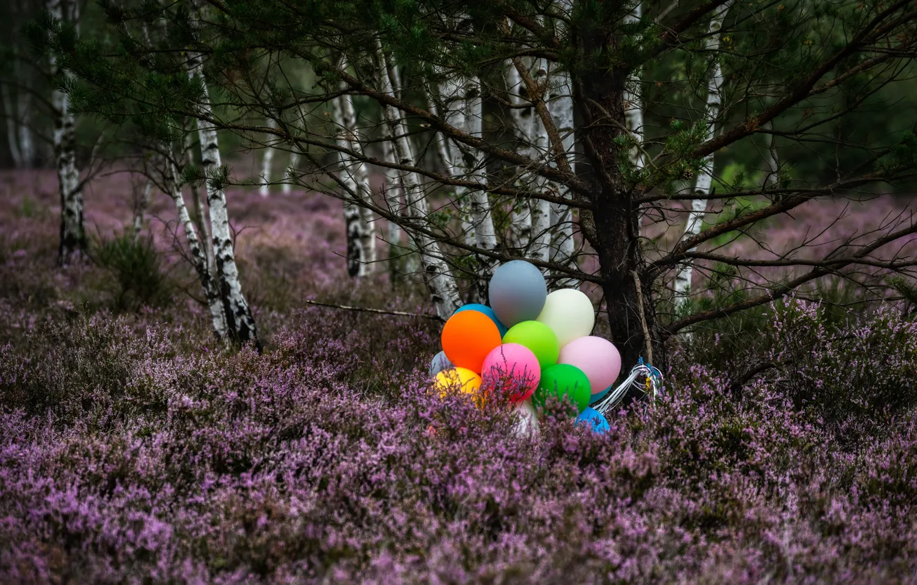 Photo wallpaper forest, balls, trees, flowers, branches, Park, balloons, balls