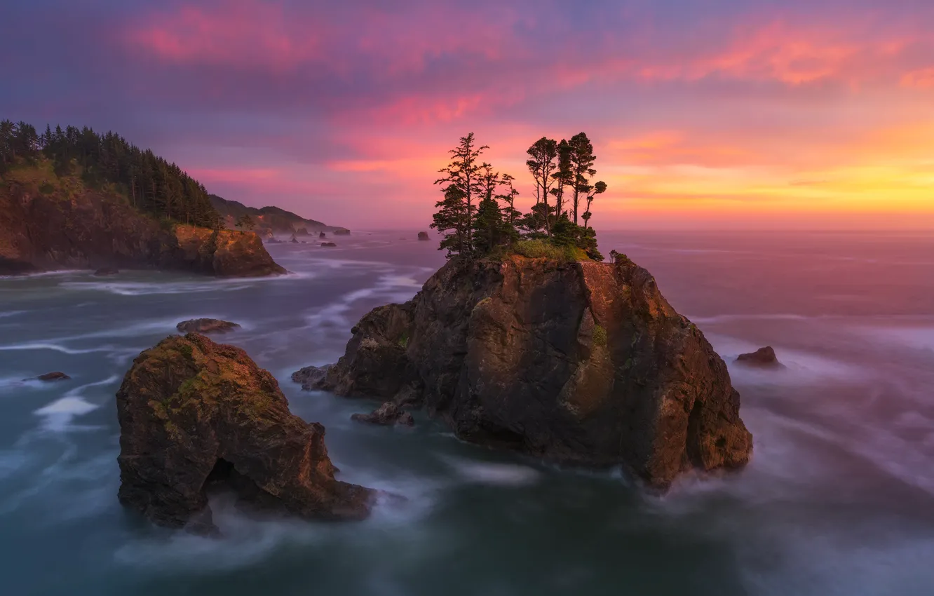 Photo wallpaper sea, trees, sunset, stones, rocks