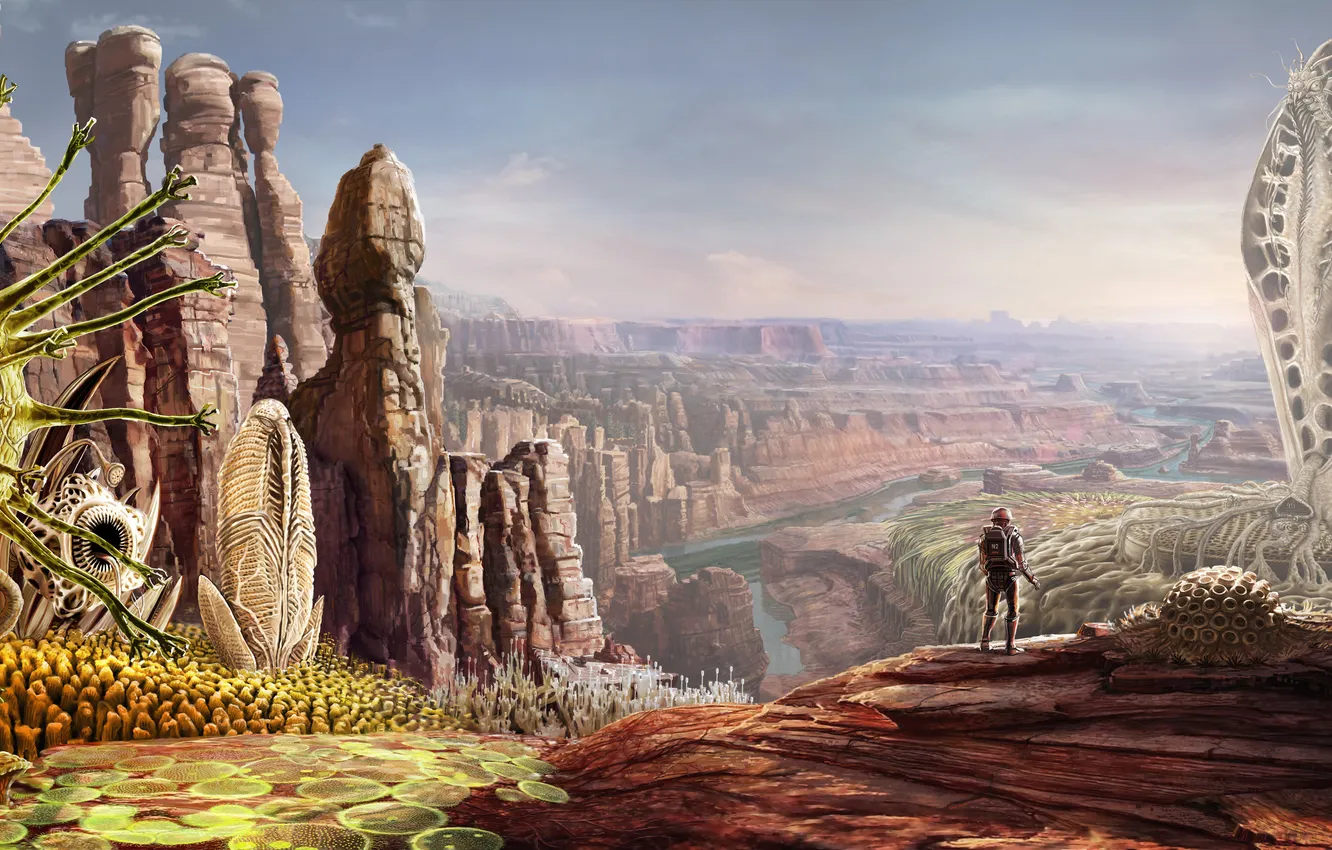 Photo wallpaper roots, river, people, plant, being, art, canyon, giant