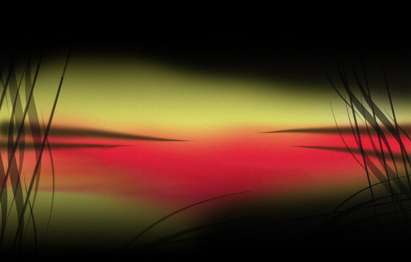 Photo wallpaper color, texture, form