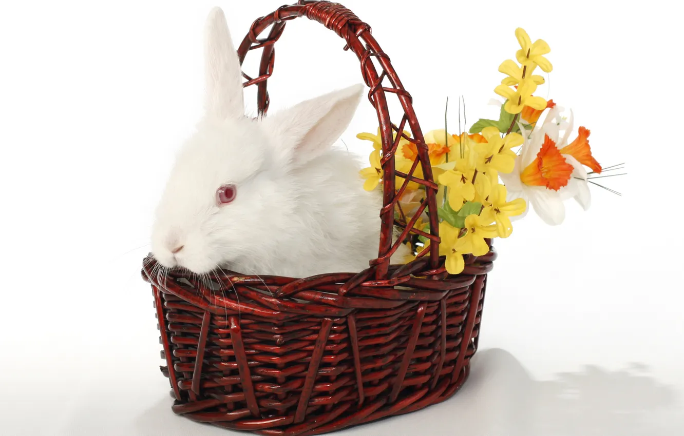 Photo wallpaper flowers, basket, rabbit, Easter, easter