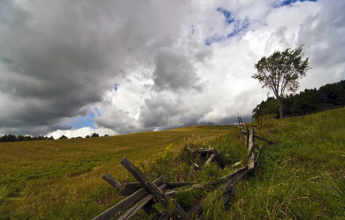 Photo wallpaper field, landscape, nature, the fence