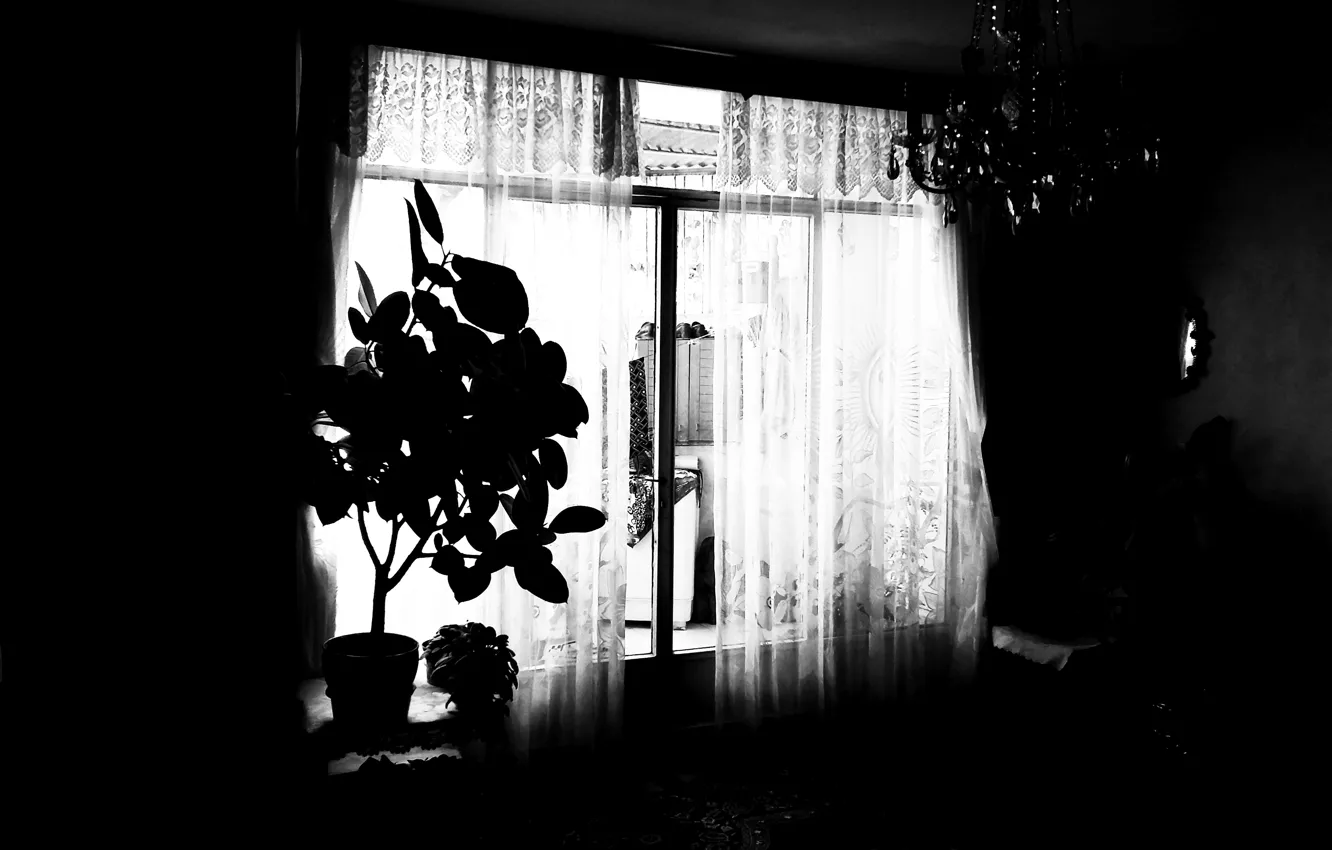 Photo wallpaper dark, night, home