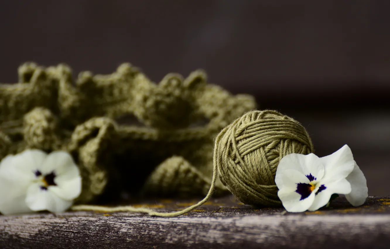 Photo wallpaper flowers, tangle, green, background, white, still life, thread, Pansy