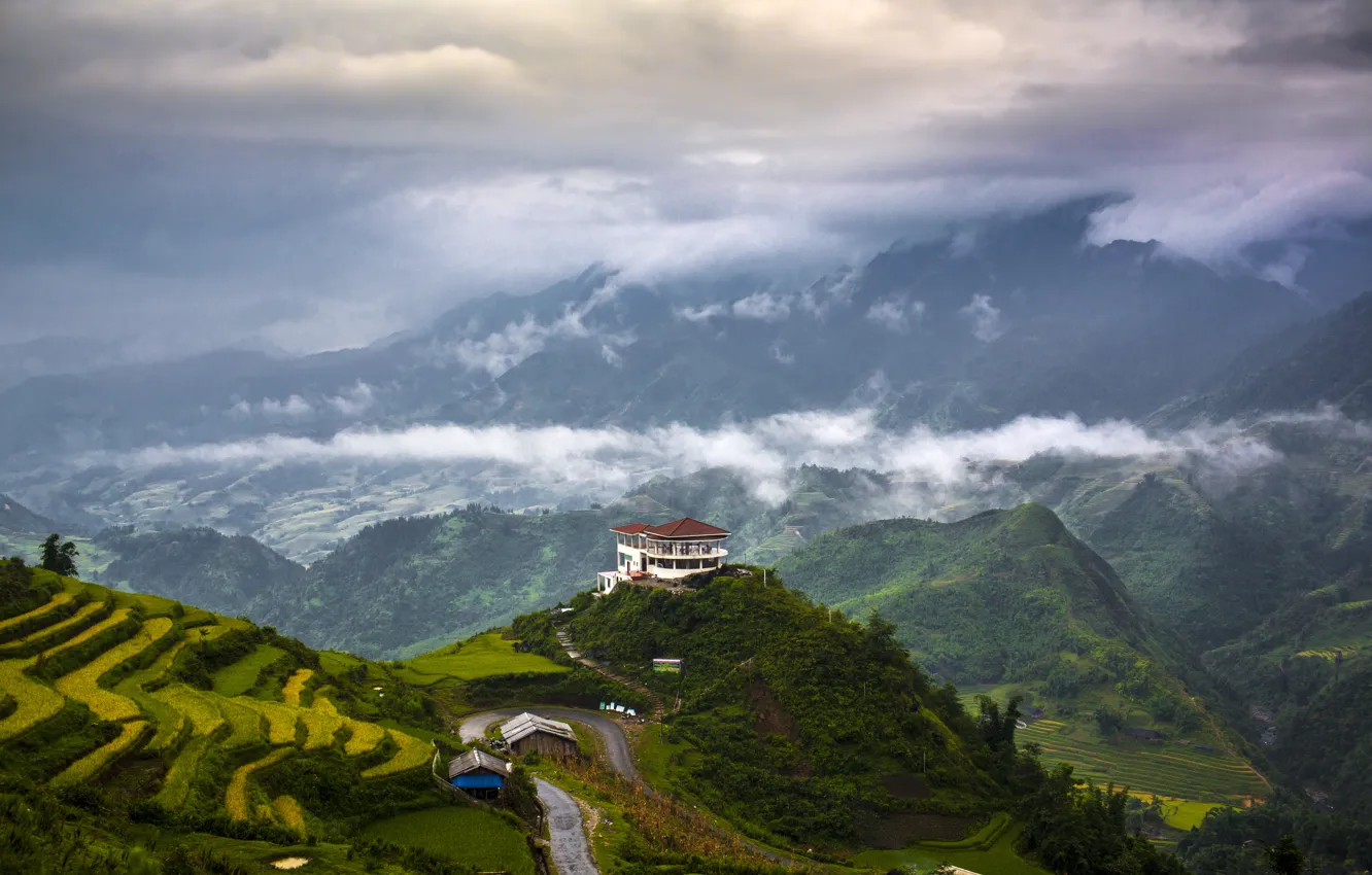 Photo wallpaper mountains, nature, valley, house in the mountains, tea plantation