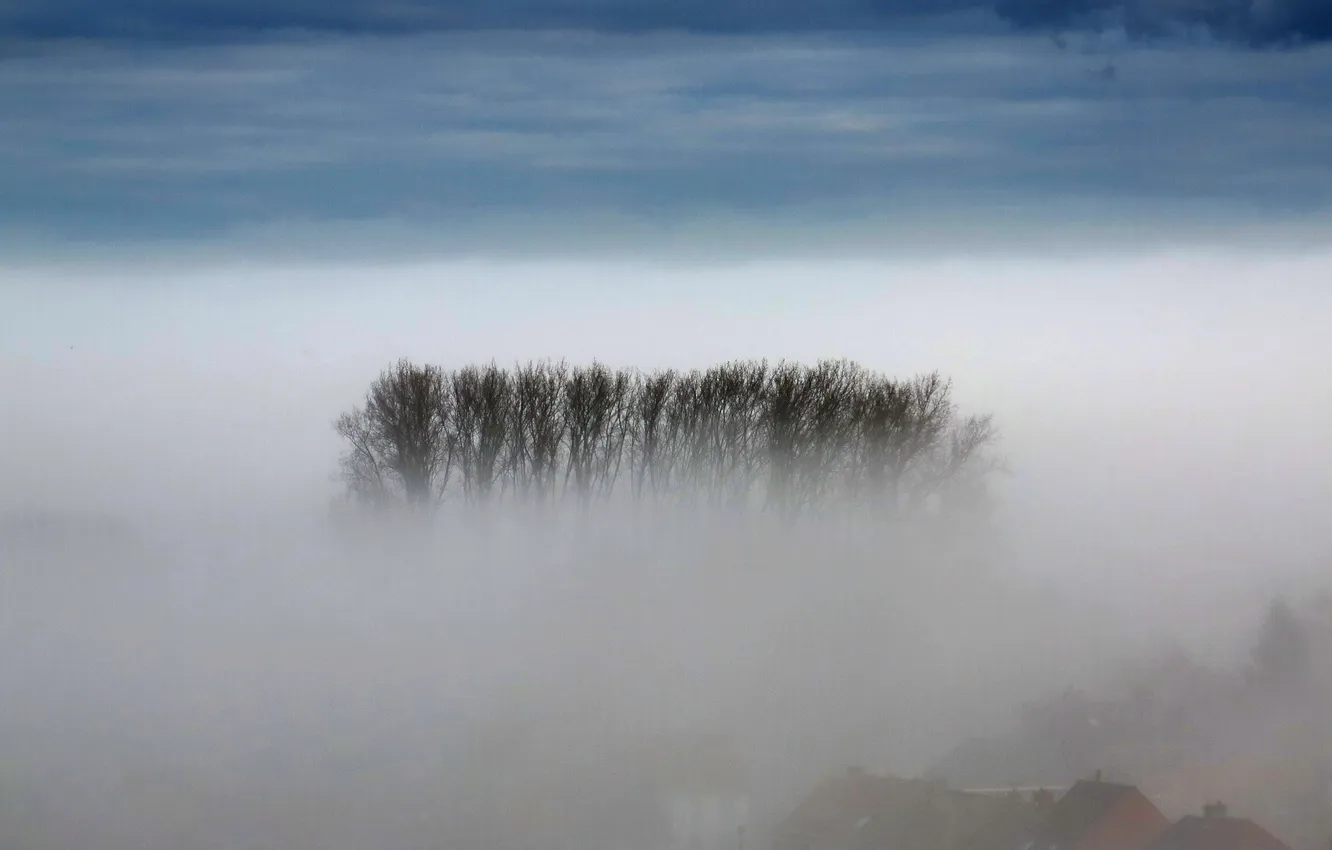 Photo wallpaper the sky, clouds, trees, landscape, nature, fog, horizon, twilight