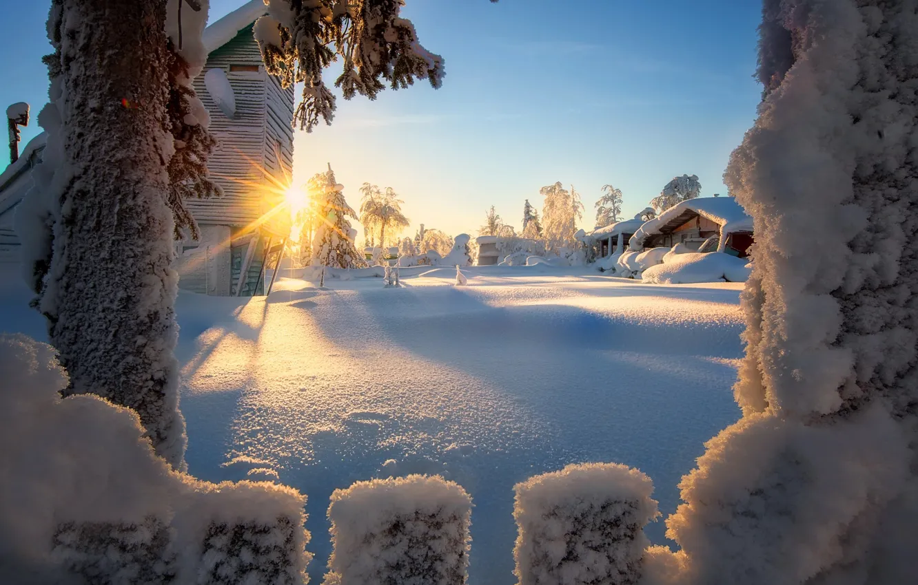 Photo wallpaper winter, the sun, rays, snow, trees, landscape, nature, the fence