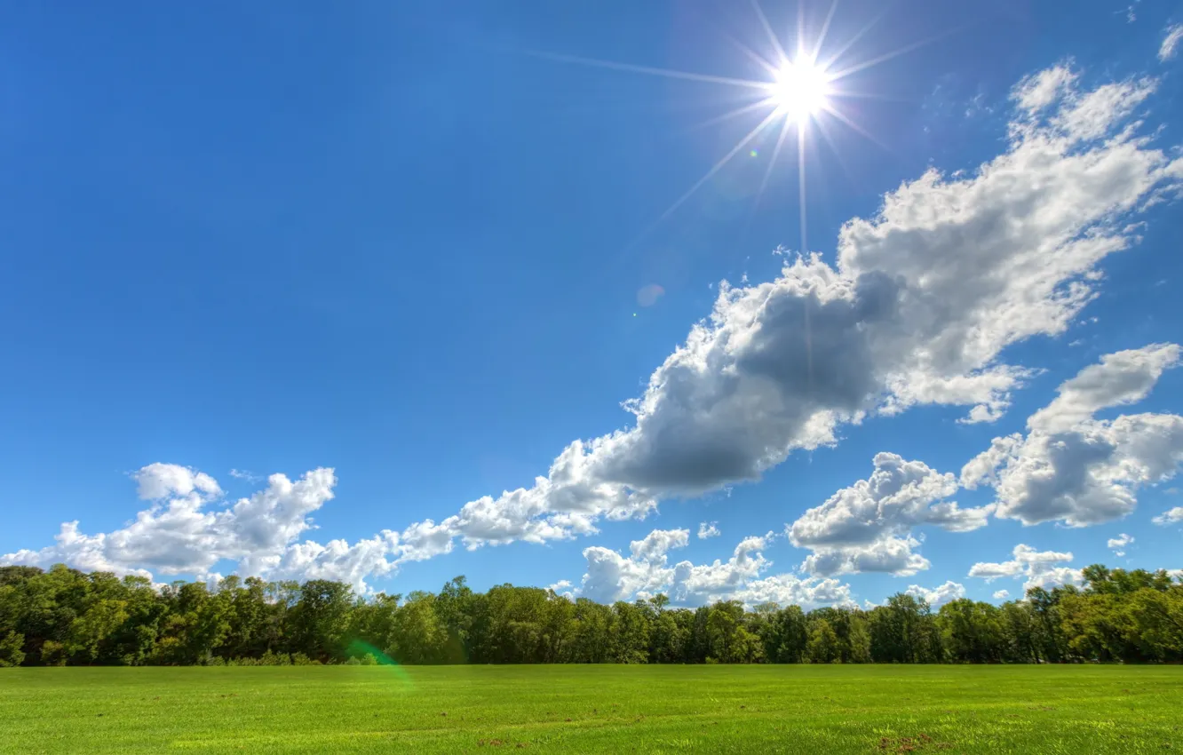 Photo wallpaper the sky, clouds, trees, meadow, Sunny day, the sun