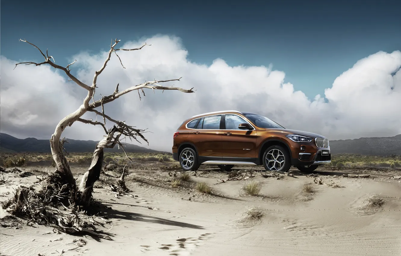 Photo wallpaper BMW, BMW, crossover, F49