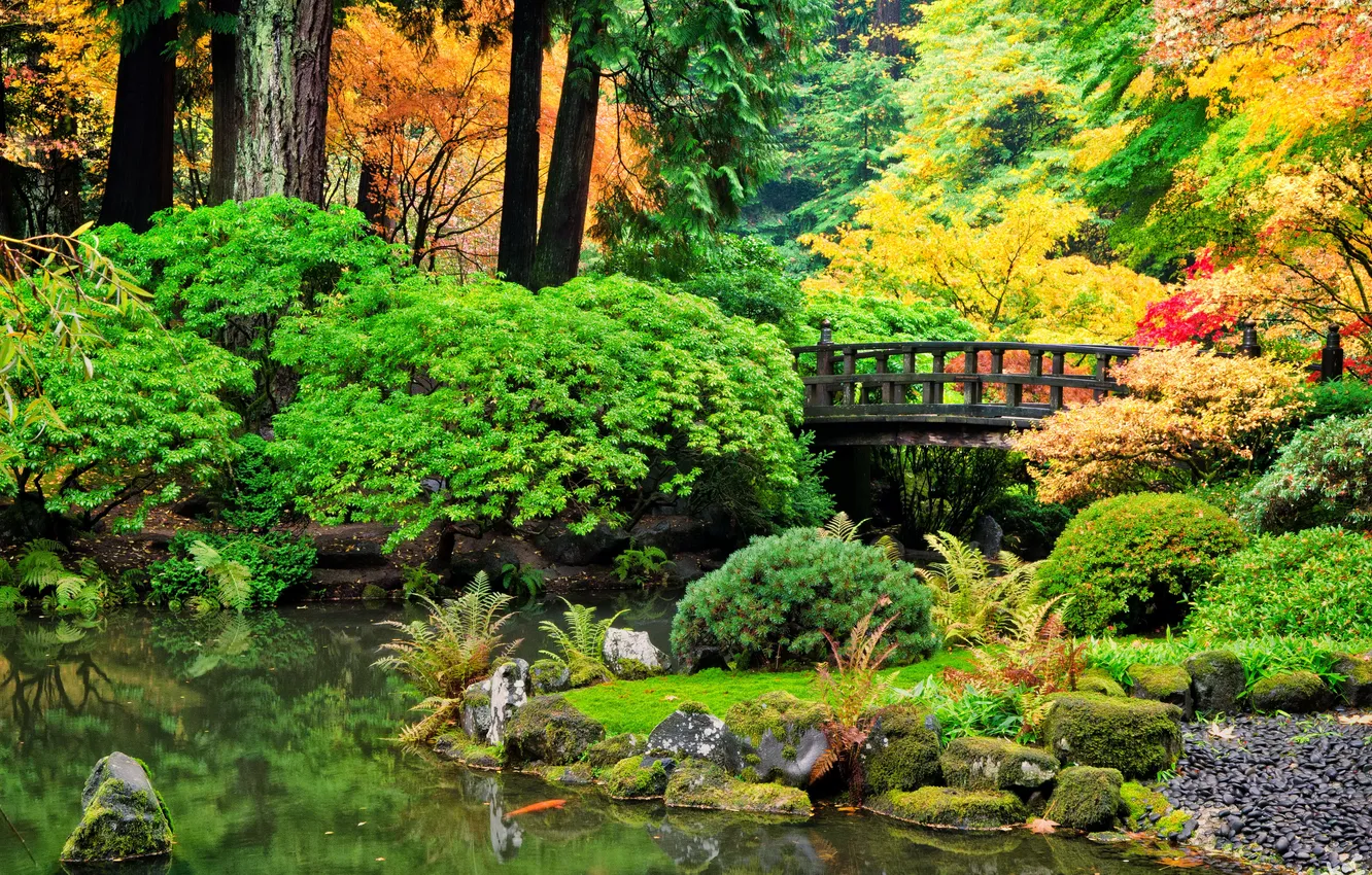 Photo wallpaper autumn, trees, bridge, pond, Park, stones, the bushes
