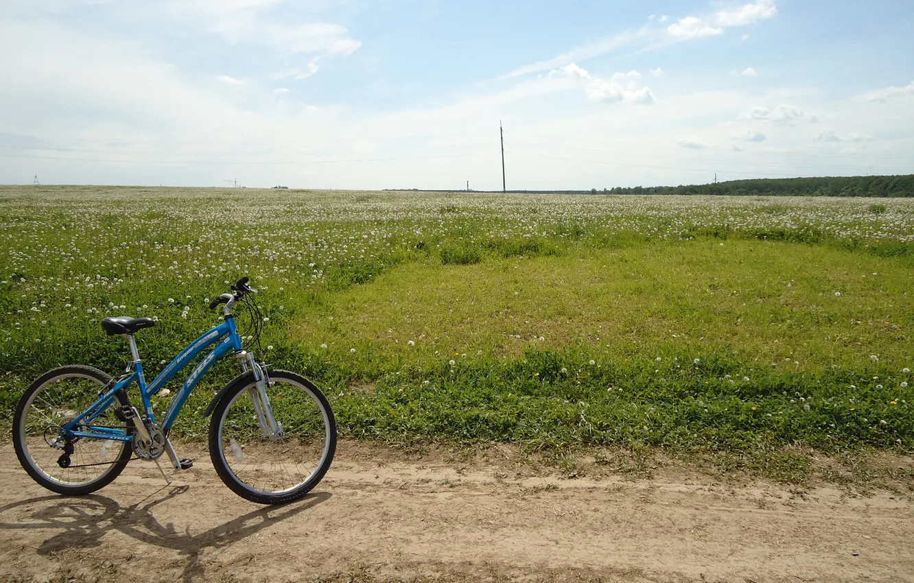 Photo wallpaper road, field, summer, the sky, grass, bike, dandelion