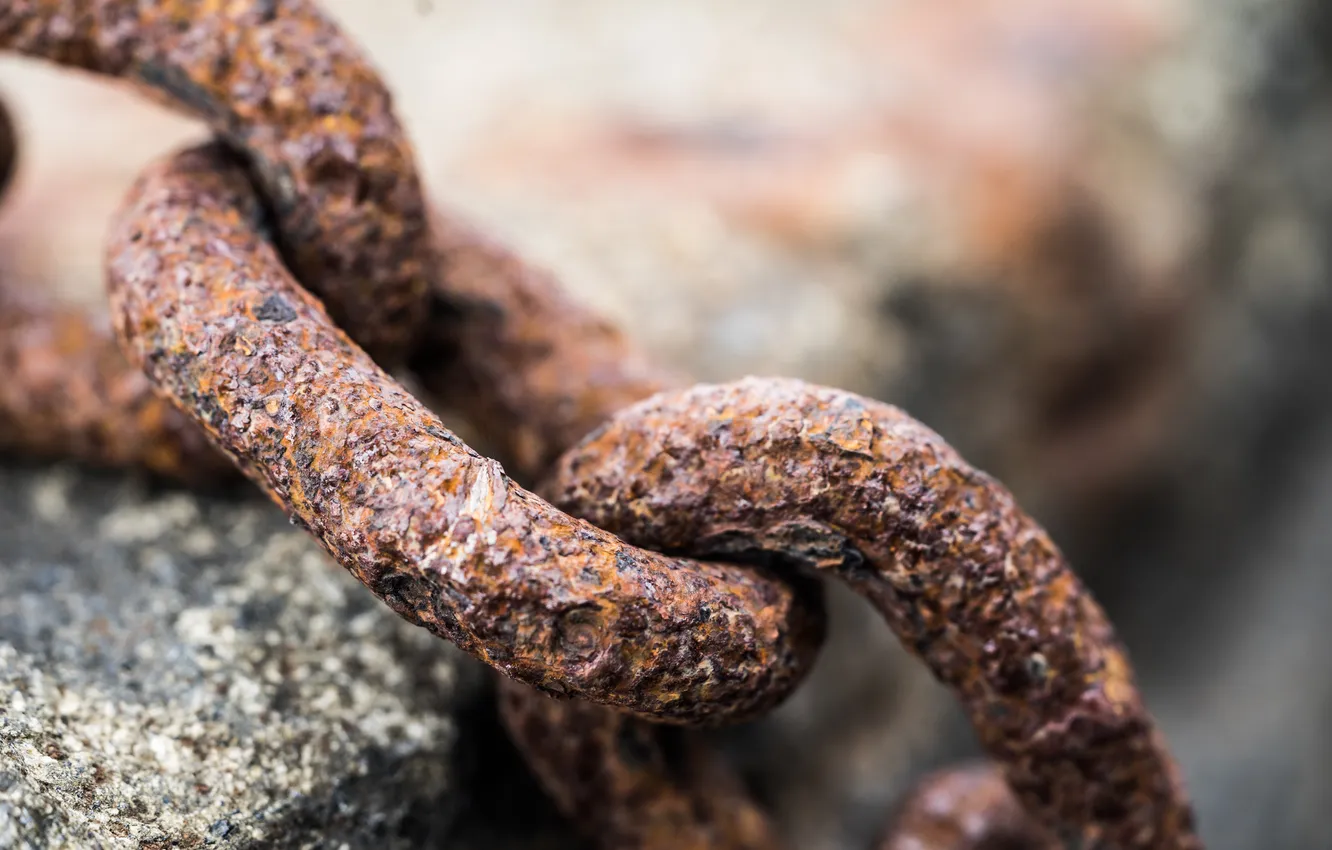 Photo wallpaper metal, rust, chain