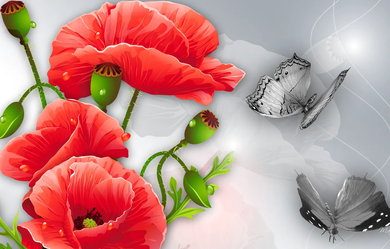 Photo wallpaper flowers, collage, butterfly, figure, Maki, vector