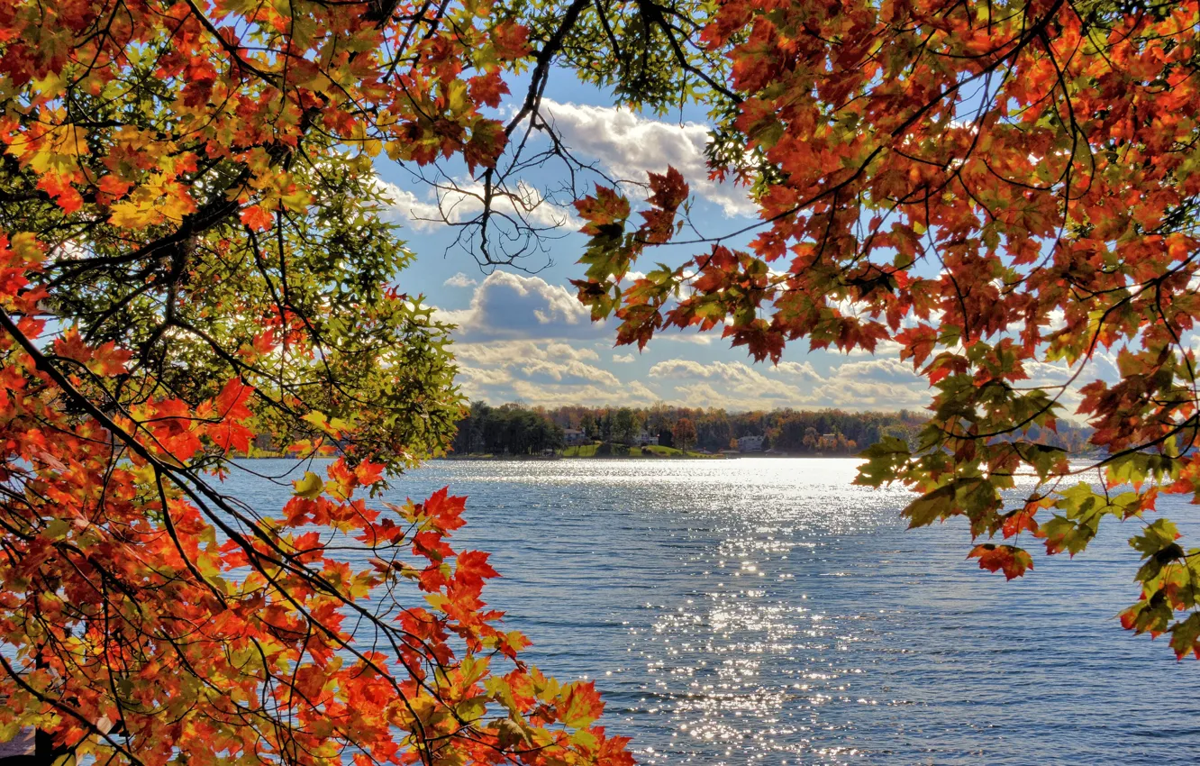 Photo wallpaper autumn, the sky, leaves, clouds, trees, branches, lake