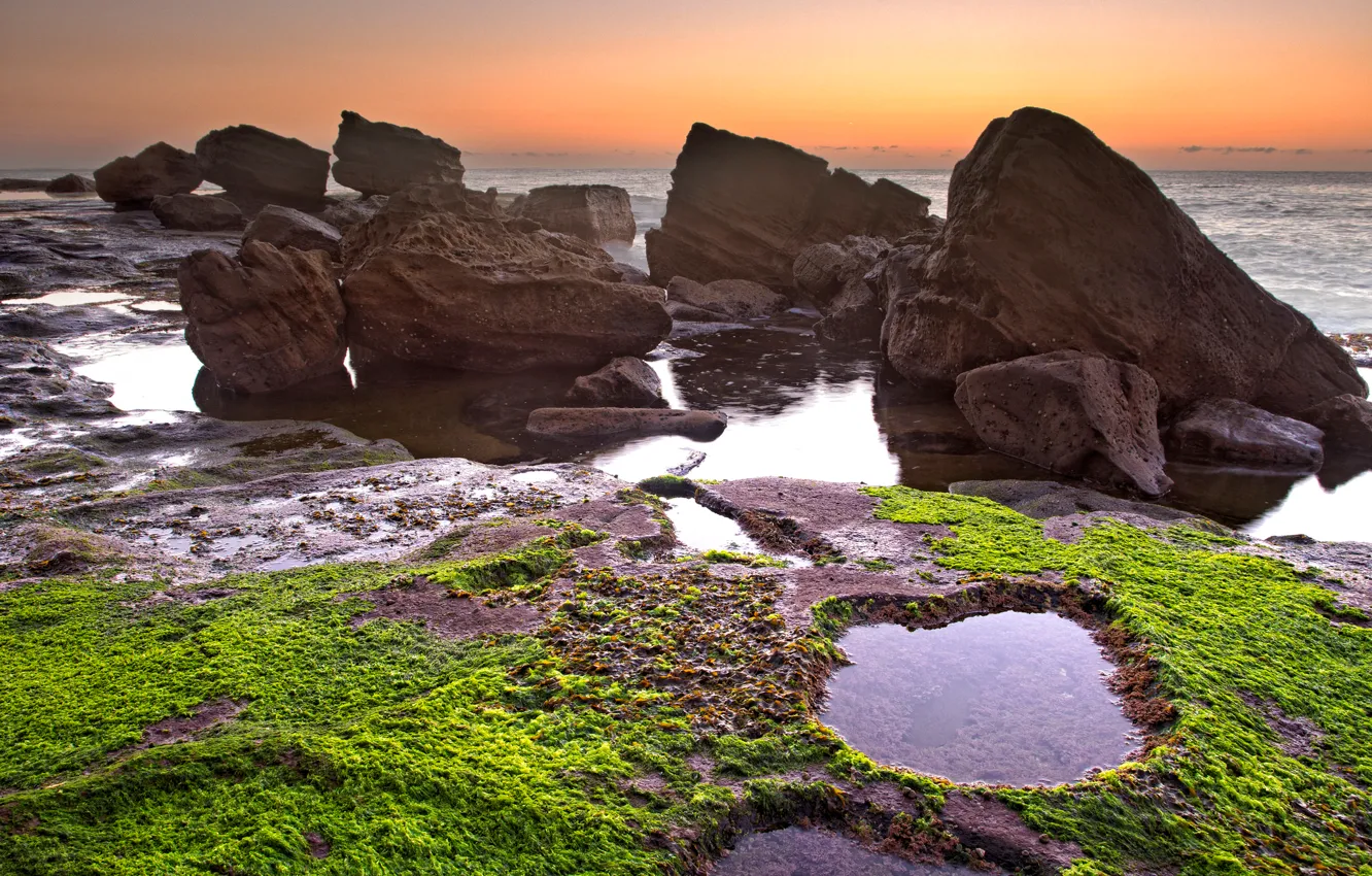 Photo wallpaper sea, the sky, algae, sunset, stones, rocks